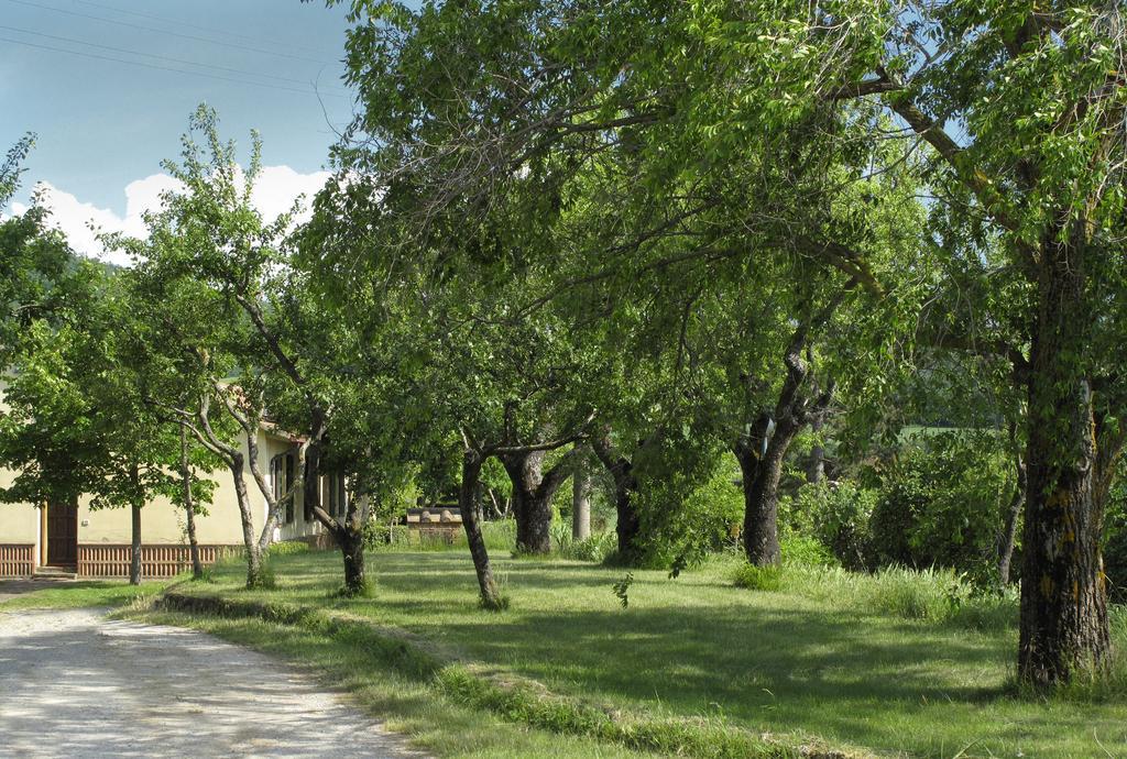 Agriturismo Il Casalone Montepulciano Luaran gambar